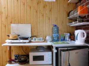 a kitchen with a counter top with a microwave at Domek + pokoje nad kanałem in Augustów