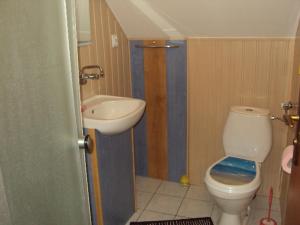 a bathroom with a toilet and a sink at Domek + pokoje nad kanałem in Augustów