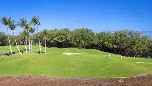 a golfer on a green with palm trees at HEAVENLY DAYS Stunning Views from KaMilo 3BR Home with Heated Pool in Waikoloa