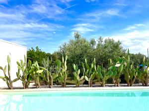 una fila de plantas de cactus junto a una piscina en Trulli Lamascrasciola, en Monopoli