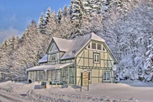 ブリーロンにあるDeluxe Holiday Home in Brilon Wald near Ski Areaの雪に停められた車を持つ家