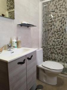 ein Bad mit einem WC, einem Waschbecken und einer Dusche in der Unterkunft Casa Rural El Abuelo Anselmo in Segovia