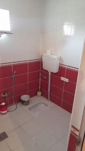 a bathroom with a toilet and a red wall at Wooden room in garden house in Naxçıvan