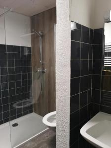 a bathroom with a shower and a toilet and a sink at Ritterstübli in Hasliberg