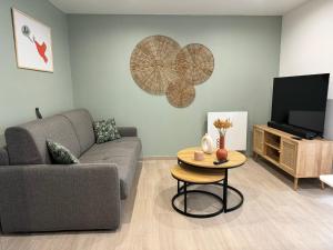 TV a/nebo společenská místnost v ubytování Le Duplex - Massy Centre