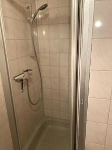 La salle de bains est pourvue d'une douche et d'une porte en verre. dans l'établissement Zur Linde, à Mühlheim an der Donau