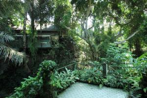 Belvilla 93915 Bamboo Villa Near Central Ubud في أوبود: منزل في الغابة مع ممشى واشجار