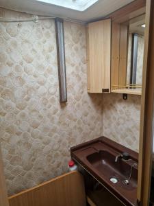 LarochemillayにあるCamping La Foret du Morvan Caravan Joostのシンクとカウンターのある小さなキッチン