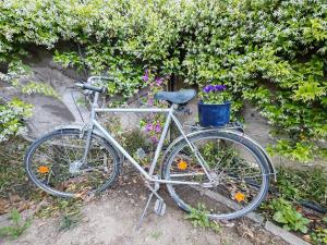 a bike parked next to a hedge with flowers at ELVAJO Apartment in Zakharo