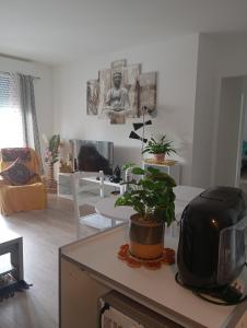 a living room with a table with a plant on it at TheCALC Homes 2Bedroom+1Kitchen in Sartrouville