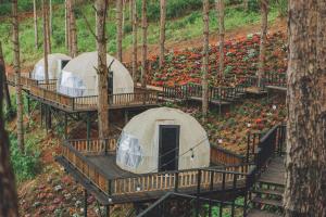 a group of tents in a forest with flowers at Lavender Dalat Hotel and Resorts in Da Lat