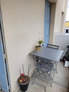uma mesa e uma cadeira com plantas em Appartement Le Pontet em Avignon