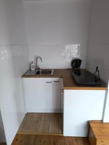 a kitchen with a sink and a laptop on a counter at Apartament Pod Orzechem in Augustów
