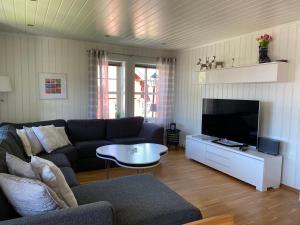 a living room with a couch and a tv at Åre Travel - Åre Park in Åre