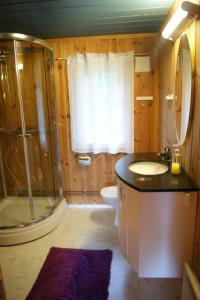 a bathroom with a shower and a sink and a toilet at Rauland Hytteutleige in Rauland