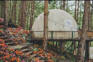 a dome tent in the middle of a forest with flowers at Lavender Dalat Hotel and Resorts in Da Lat