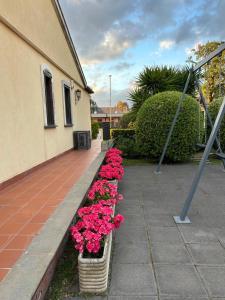 una fila de flores rosas en cestas junto a un edificio en Villa del Sole, en Valverde
