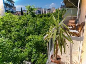 a potted plant on a balcony with bushes at Dante Apartment in Athens