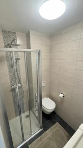 e bagno con servizi igienici e doccia in vetro. di Luxurious flat offering comfort and privacy in Martelange a Martelange