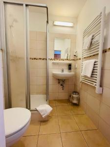 a bathroom with a shower and a sink and a toilet at Gaststätte Brauhaus Zwickau GmbH in Zwickau