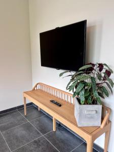 uma sala de estar com uma televisão e um vaso de plantas em Luxurious flat offering comfort and privacy in Martelange em Martelange