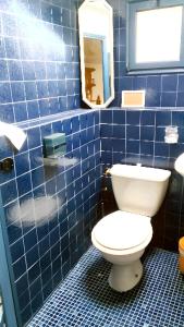 a blue tiled bathroom with a toilet and a mirror at Maison d'une chambre avec wifi a Saint Pere in Saint-Père