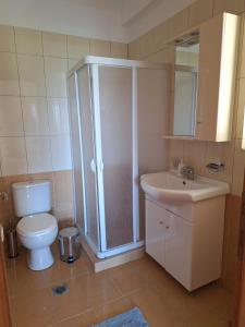 a bathroom with a toilet and a shower and a sink at Kanelli΄s apartments in Monemvasia