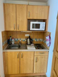 Kuchyň nebo kuchyňský kout v ubytování Alba Apartmany Železná Ruda