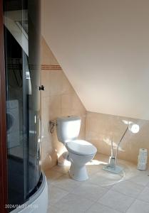 een badkamer met een toilet en een glazen douche bij Noclegi pod bukami in Rajcza