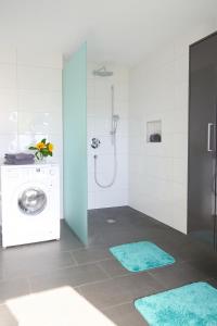 a bathroom with a washing machine and a washer at Naturidyll am See in Fußach