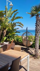 a table and chairs next to a beach with a palm tree at Superbe Appartement-villa, Palm Beach - Face à la mer in Cannes