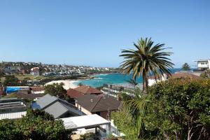 a view of a beach with houses and a palm tree at Barefoot in Bronte IH in Sydney