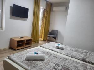 a bedroom with two beds and a tv on the wall at Villa Pegasus Pestani in Ohrid