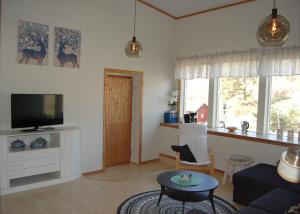 a living room with a couch and a tv at Alcatraz in Gustavsfors