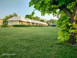 a row of buildings in a field with a tree at Vacation Village Camps - A Unit Of Nature Resort in Pushkar