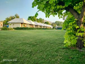 a row of buildings in a field with a tree at Vacation Village Camps - A Unit Of Braham Vatika Resort in Pushkar