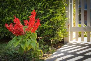 Fotografie z fotogalerie ubytování Garden Haven Retreat v destinaci Sydney