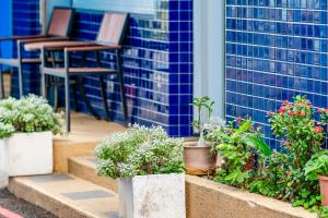 a group of potted plants on steps in front of a building at Pacific Inn in Kenting