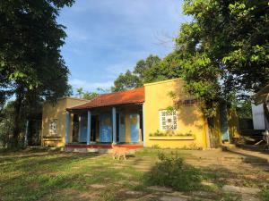 a yellow house with a dog standing in front of it at Thôn Hoa Sen in Thôn Xuân Lỗ