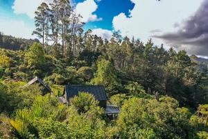 una casa in mezzo a una collina con alberi di Matakana Retreat - Luxury Off Grid Lodge in Nature a Matakana
