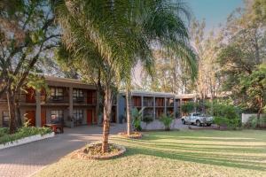 a palm tree in front of a building at Villa Africa Boutique Hotel & Spa in Pretoria