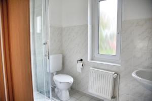 a bathroom with a toilet and a sink and a window at Haus JuliaN Wohnung 1 in Ueckermünde