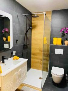 uma casa de banho com um chuveiro, um lavatório e um WC. em CLABINA - Studio lumineux et calme em Leukerbad