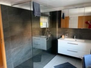 a bathroom with a shower and a sink at Fewo Max in Münchweier