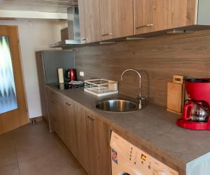 cocina con fregadero y encimera en Fewo Max, en Münchweier