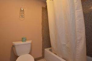 a bathroom with a toilet and a shower curtain at Newcastle Motel in Newcastle