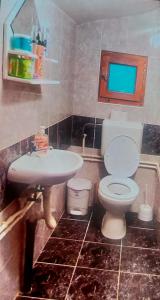 a bathroom with a toilet and a sink at Vikendica Raj u prirodi in Prijedor