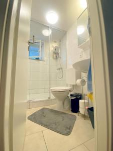 a bathroom with a shower and a toilet with a rug at Sonnenblick Ferienwohnung in Wirsberg