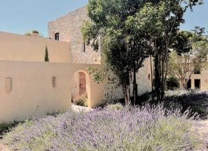 a house with a garden with purple flowers at Toile Blanche in Saint-Paul-de-Vence