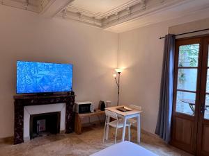 sala de estar con chimenea y TV de pantalla plana en Hotel Majestic en Nimes